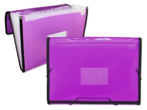 Ingraf Carpeta Frame Fuelle 13 Departamentos Tamaño A4 - Polipropileno Translucido - Gomas y Solapas - Color Rosa