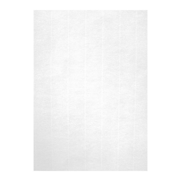 Apli Pack de 100 Hojas de Papel Verjurado A4 - Alta Calidad - 100gr - Compatible con Impresoras Inkjet, Laser y Fotocopiadoras - Ideal para Escritura Manual - Color Blanco