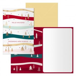 Dohe Grove Pack de 6 Tarjetas de Felicitacion Navideña con Sobre - Tamaño Cerrada 11.5x17cm, Abierta 23x17cm - Papel Offset - Impresas a todo Color