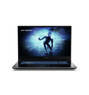 Medion Defender P50I Portatil 17" Intel Core i5 13420H - 16GB / 1TB SSD - RTX 4060  - USB-A, C, HDMI, RJ-45, Audio - Color Negro