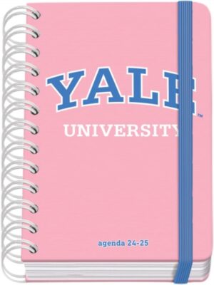Dohe YALE Pink Lady Agenda Escolar Espiral Wire’o A6 - Dia Pagina - Papel 80g/m2 - Cubierta de Carton Plastificado - Cierre con Goma Elastica - Color Rosa