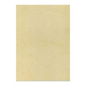 Apli Pack de 10 Hojas de Papel Textura Habana A4 - 200gr - Ideal para Invitaciones y Comunicaciones - Compatible con Impresoras Inkjet, Laser y Fotocopiadoras - Color Habana