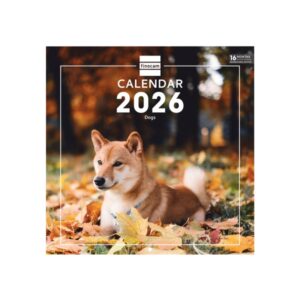 Finocam Calendario de Pared Internacional - Anual 2026 - Imagenes Variadas - 311x5x305mm - Tematica de Perros