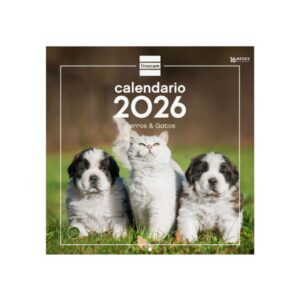 Finocam Calendario de Pared - Anual 2026 - Imagenes Variadas - 300x300mm - Espacio para Escribir - Tematica de Perros y Gatos