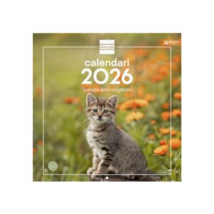 Finocam Calendario de Pared en Catalan - Anual 2026 - Imagenes Variadas - 300x300mm - Espacio para Escribir - Tematica de Gatos