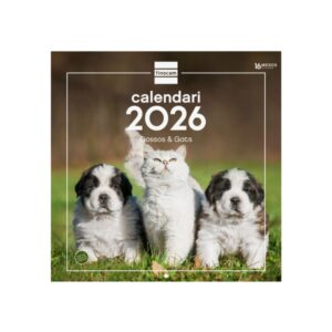 Finocam Calendario de Pared en Catalan - Anual 2026 - Imagenes Variadas - 300x300mm - Espacio para Escribir - Tematica de Perros y Gatos