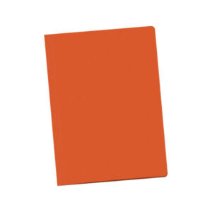 Dohe Subcarpetas Fabricadas en Cartulina de 180gr - con Ranura para Fastener - Resistente y Duradera