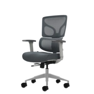 Oqonos Cherg 015 Silla de Oficina Ergonomica con Respaldo y Asiento de Malla Elastica, Reposabrazos 4D, Asiento Deslizable Ergonomico Moldeado y Ruedas de Silicona - Gris