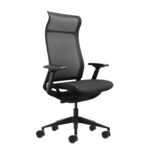 Oqonos Cherg 028 Silla de Oficina Ergonomica con Respaldo y Asiento de Malla Elastica, Mecanismo Autobalanceado, Reposabrazos 4D, Asiento Deslizable y Ruedas de Silicona - Negro