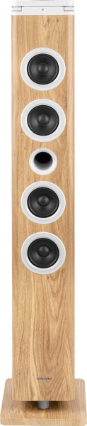 Thomson DS220CD Torre de Sonido 60W Bluetooth 5.3 - Reproductor de CD - Entrada AUX 3,5mm, USB y Lector de Tarjetas SD/MMC - Mando a Distancia - Color Madera/Blanco